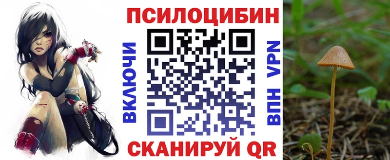 Псилоцибиновые грибы Psilocybe  Железноводск 